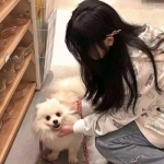 一码一肖100准资料应用下载手机版